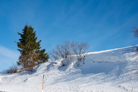 Lots of snow in nature, with trees and blue sky in the high Rhoen, Hesse, Germany