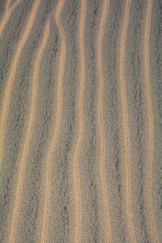 Wavy sand on a dune, full frame