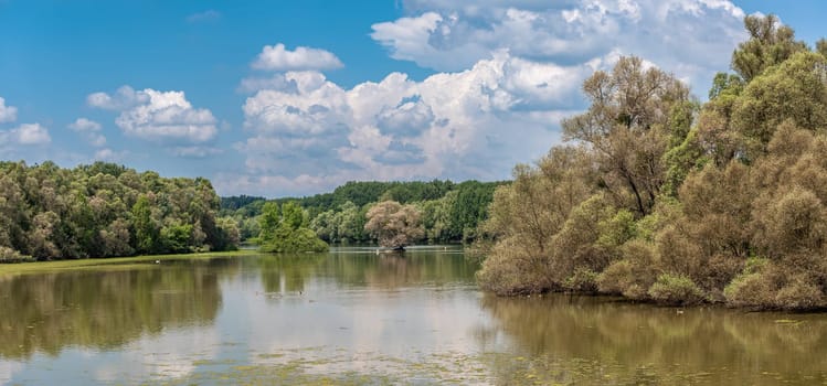 The European bird sanctuary and nature reserve Kuehkopf Knoblochsaue, germany