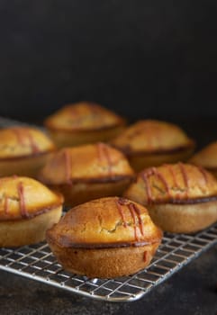 Pasticciotto leccese pastry filled with egg custard cream and sour cherry jam, on a cooling backing rack on a dark table, copy space, close up. Typical apulian breakfast