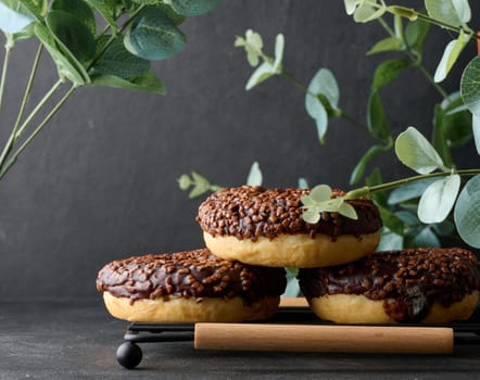 Chocolate donuts sprinkled with crushed nuts on a black table