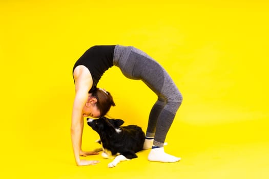 Shot of sport female in leggings with a border collie dog isolated on yellow and red background