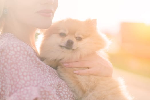 Close up portrait of smiling young attractive woman embracing Pomeranian spitz.
