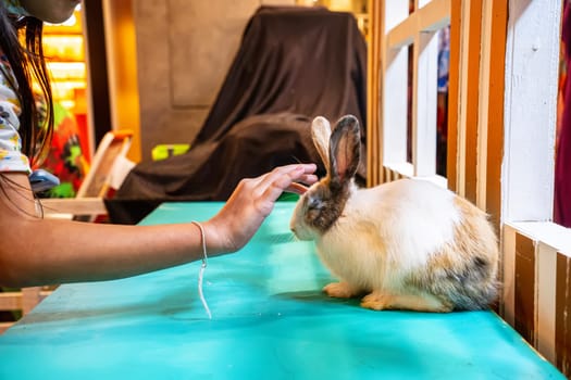 Rabbits are small mammals. Bunny is a colloquial name for a rabbit. It's cute.