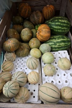 Ripe pumpkins and melons sold at a street stall during the farmers market in Cremona, Lombardy, Italy