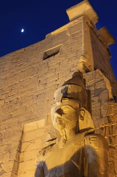 Night view of  Statue Of Ramesses II. by The Luxor Temple Luxor. Egypt. Shining moon is in the background. Vertically,
