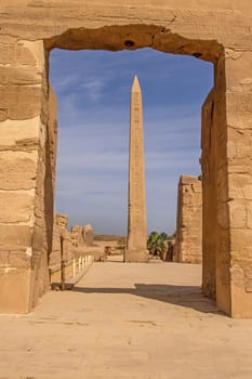 Obelisk of Hatshepsut in Karnak temple, Luxor, Egypt. Vertically.