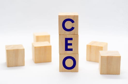 CEO text on wooden blocks on white background with customizable space for text or ideas. Business concept.