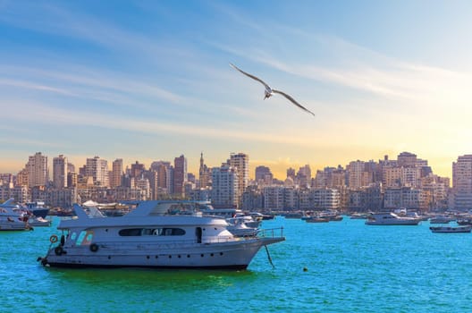 Alexandria harbour with boats and seagulls, beautiful seaside view, Egypt.