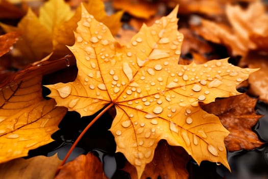 Close up of fallen leaves on ground in autumn covered in raindrops. AI generated