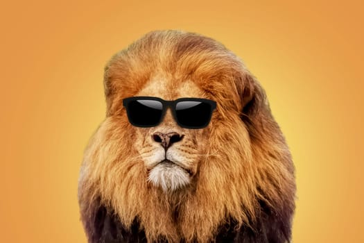 Successful cool handsome hipster lion boss with sunglasses on yellow background. Startup and business, creative idea
