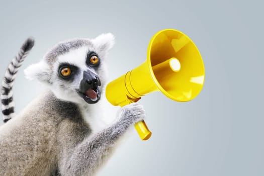 Funny beautiful lemur is holding a yellow loudspeaker and screaming on a neutral background. Attracting attention and marketing, creative idea. Successful leader. Speaks loudly, concept