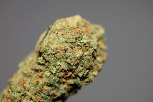 Dried marihuana buds of medical cannabis rolling joints with trimmed stuff grown in California fresh therapeutic and inspirational weed big size high quality instant prints