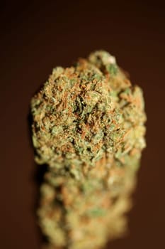 Dried marihuana buds of medical cannabis rolling joints with trimmed stuff grown in California fresh therapeutic and inspirational weed big size high quality instant prints