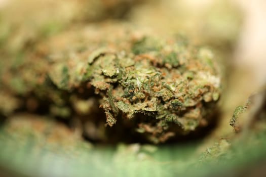 Close up of jack herrer medical marijuana buds detail of cannabis on glass jar weed backgrounds big size high quality instant print