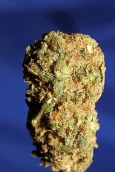 Dried marihuana buds of medical cannabis rolling joints with trimmed stuff grown in California fresh therapeutic and inspirational weed big size high quality instant prints