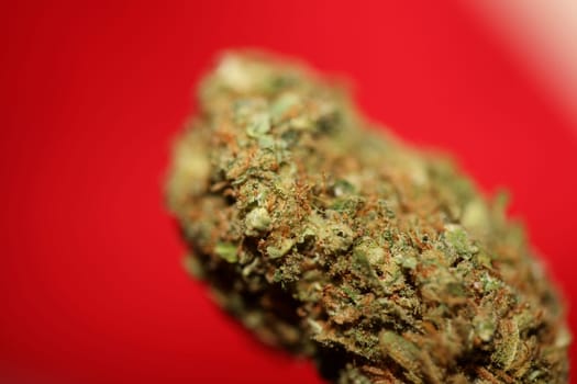 Dried marihuana buds of medical cannabis rolling joints with trimmed stuff grown in California fresh therapeutic and inspirational weed big size high quality instant prints