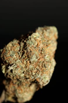 Cannabis medical bud super lemon haze close up stoned time high moments legalize it Amsterdam season background high quality focus stack fifty megapixels prints