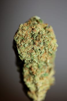 Dried marihuana buds of medical cannabis rolling joints with trimmed stuff grown in California fresh therapeutic and inspirational weed big size high quality instant prints