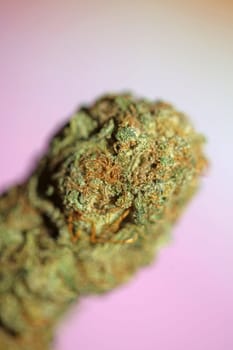Cannabis bud macro super bubble gum smoking all day mania medical marihuana neonicotinoids stuff fifty megapixels modern botanical dope instant stock photography prints