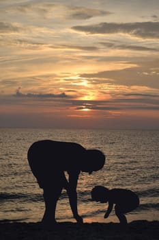 Father together with his todler collect seashells on the seashore
