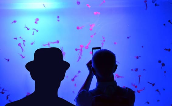 People enjoying and photograph Jellyfish in an Aquarium Tank