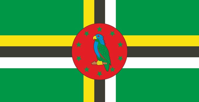flag of Dominica. National Dominica flag. national flag. Republic of Dominica. Island country. illustration