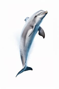 Dolphin with water splash isolated on white Background. artificial art