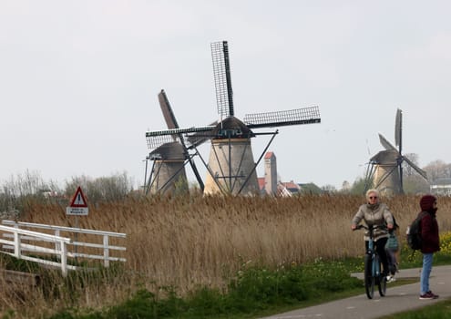 Kinderdijk, the Netherlands - April 17, 2023: 19 windmills at Kinderdijk built about 1740 is part of a larger water management system to prevent flooding. A UNESCO world heritage site.
