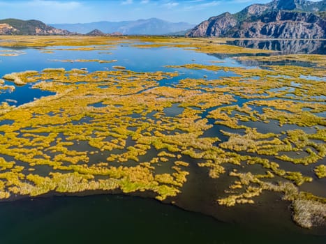 Aerial view of Dalyan Delta River close to Iztuzu Beach in Mugla Province, Turkey.