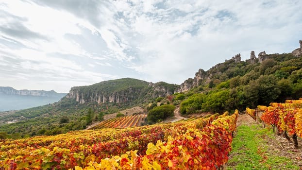 Mountain landscape in autumn with vineyards with colorful red and yellow leaves, Sardinia, Italy. Traditional agriculture. Beautiful colors in autumn.