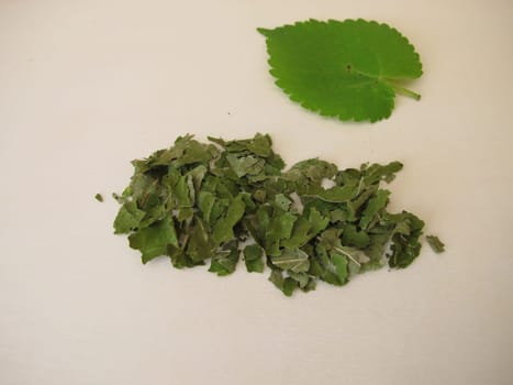 Dried white mulberry leaves for mulberry leaf tea, Morus alba