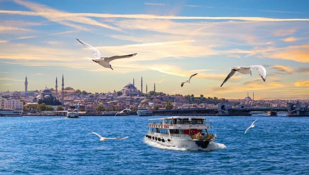 Seagulls and boats in front of the Istanbul sights on Bosphorus, Turkey.