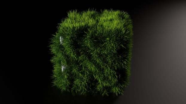 Grass cube. Computer generated 3d render