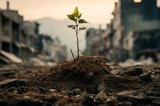 Young tree growing trough dead soil in a War destroyed city. Hope and peace concept. AI generated