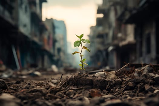 Green plant growing trough dead soil in a War destroyed city. Hope and peace concept. AI generated