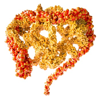 Low-Fiber Diet Risks Gut Health & Allergies