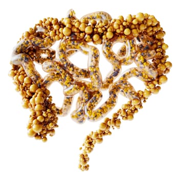 Low-Fiber Diet Risks Gut Health & Allergies