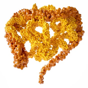 Low-Fiber Diet Risks Gut Health & Allergies