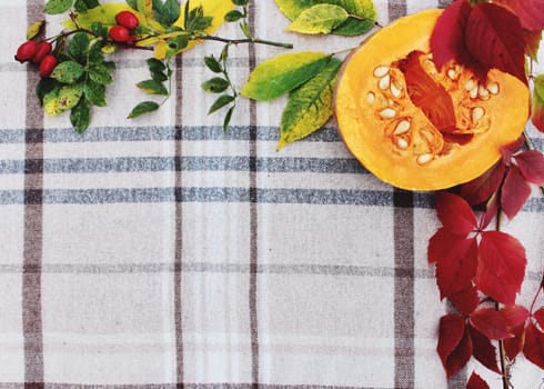 checkered beige autumn background with edible cut pumpkin and crimson yellow leaves.