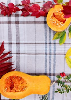 checkered beige autumn background with edible cut pumpkin and crimson yellow leaves.