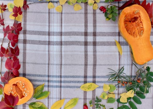checkered beige autumn background with edible cut pumpkin and crimson yellow leaves.