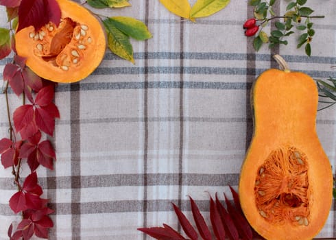 checkered beige autumn background with edible cut pumpkin and crimson yellow leaves.