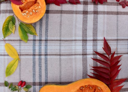 checkered beige autumn background with edible cut pumpkin and crimson yellow leaves.
