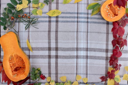 checkered beige autumn background with edible cut pumpkin and crimson yellow leaves.
