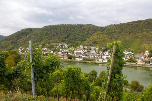 View of Treis-Karden town with the Moselle river, Germany