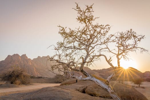 The Pondoks at sunrise near the Spitzkoppe mountain in Namibia in Africa.