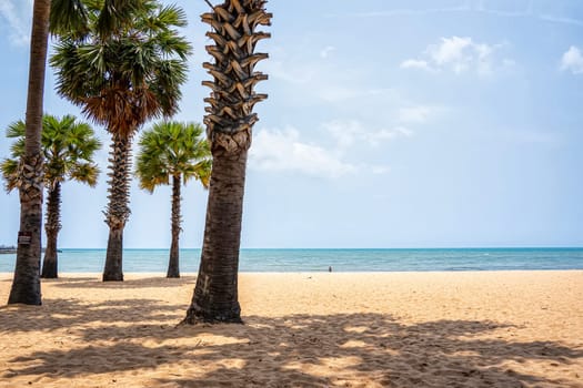 Beach atmosphere on a good weather day.
