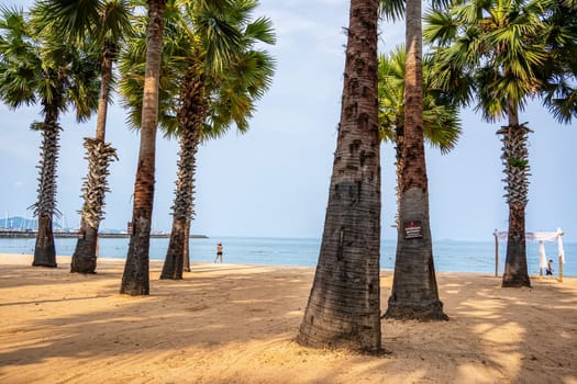 Beach atmosphere on a good weather day.
