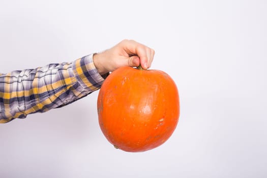 portrait of a young farmer holding a pumpkins on a light background studio.